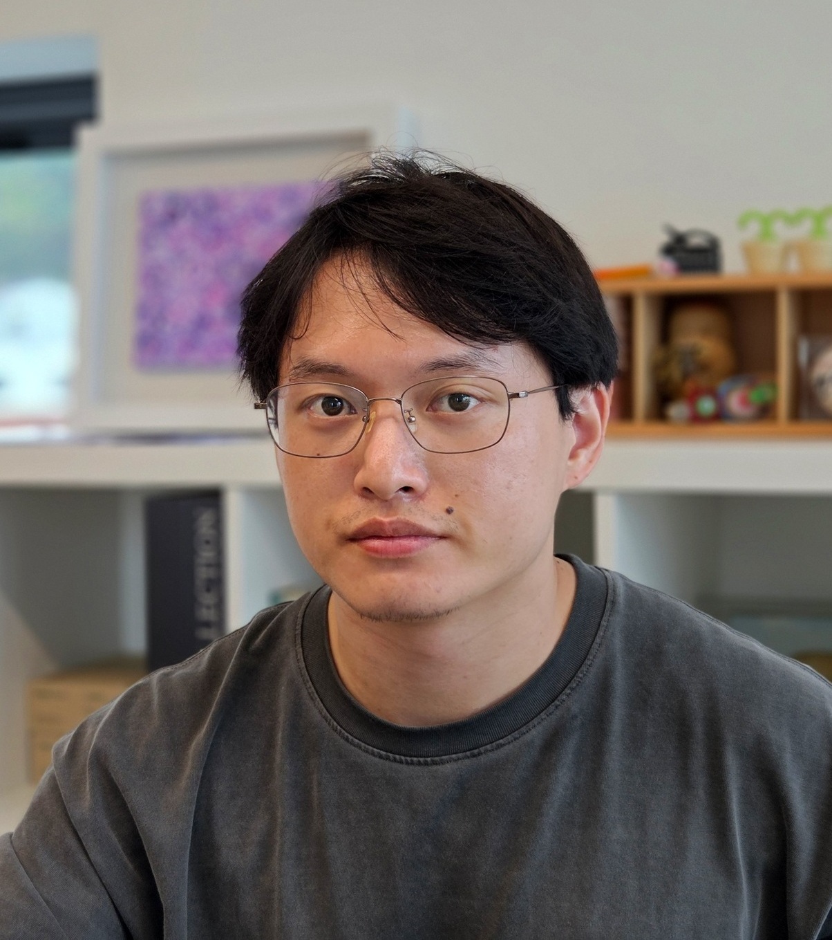 김도효